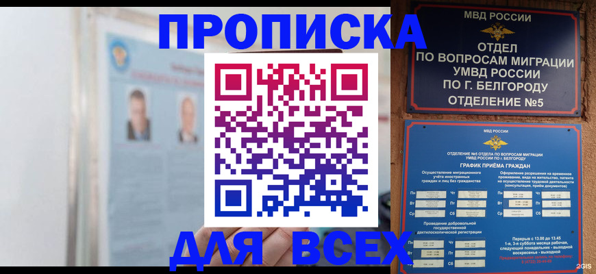 прописка для школы в Дмитрове